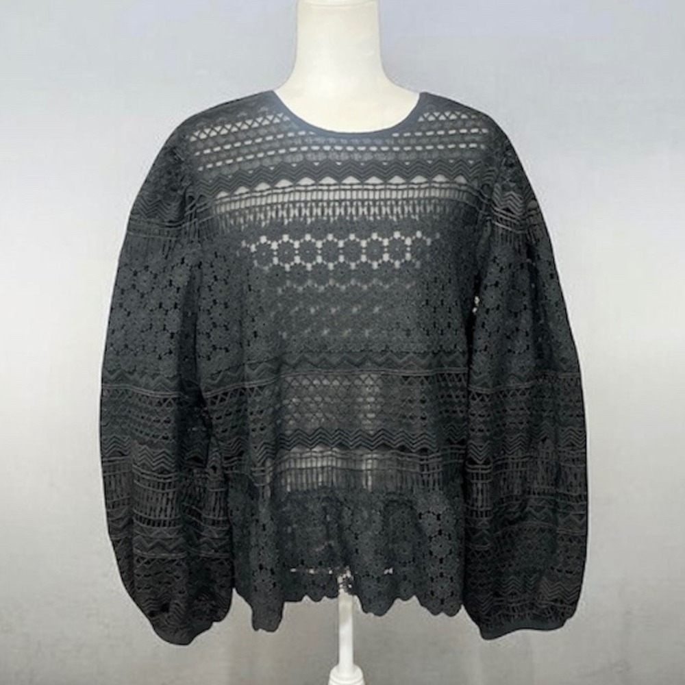 Express Lace Crochet Top XL Balloon Sleeve Lined Sheer Whimsical Dark Romantic